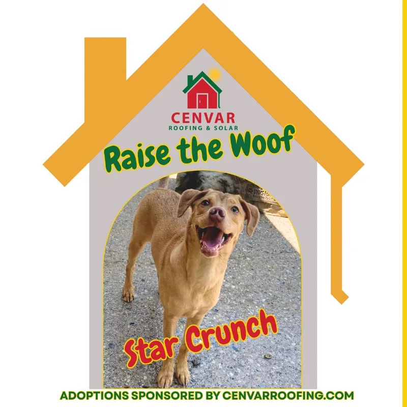 Star Crunch thumbnail 4