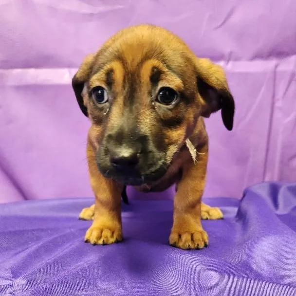 Thandiwe thumbnail 2