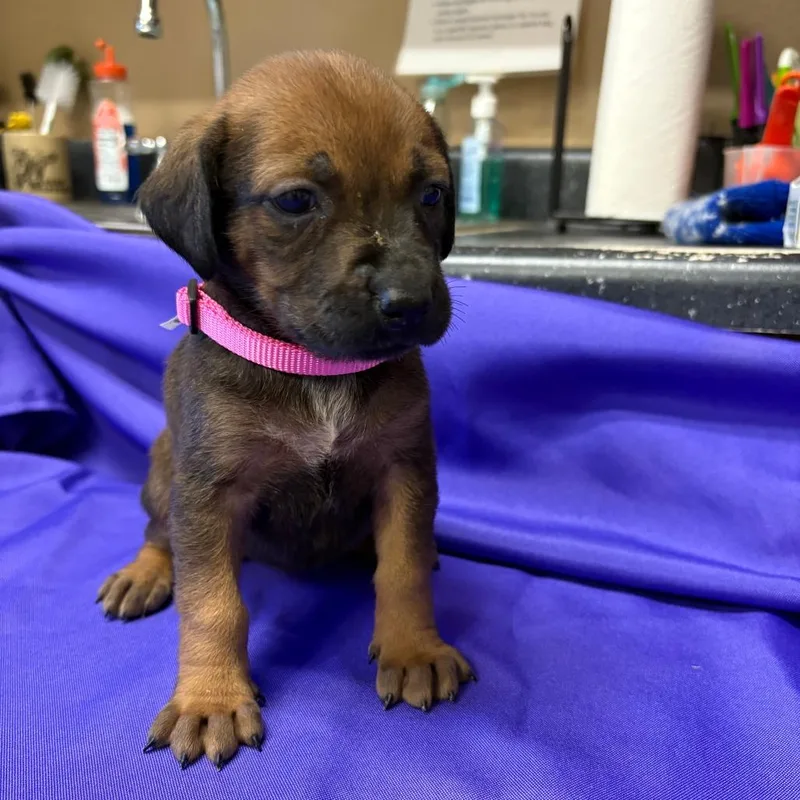 Thandiwe thumbnail 3