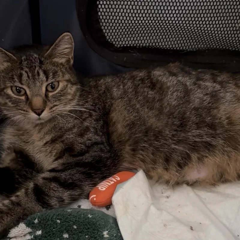 Stephanie thumbnail 2