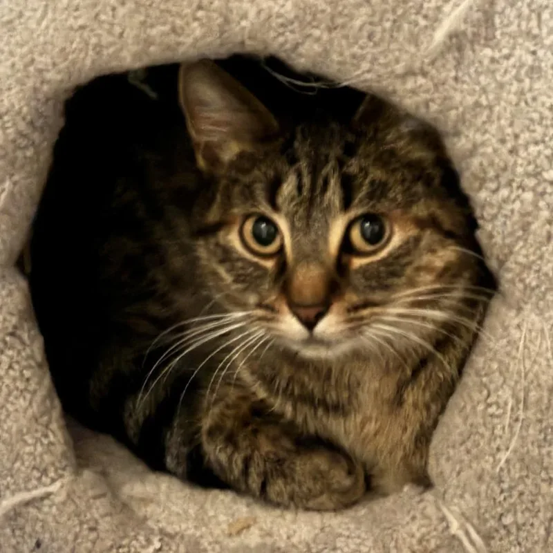 Stephanie thumbnail 3