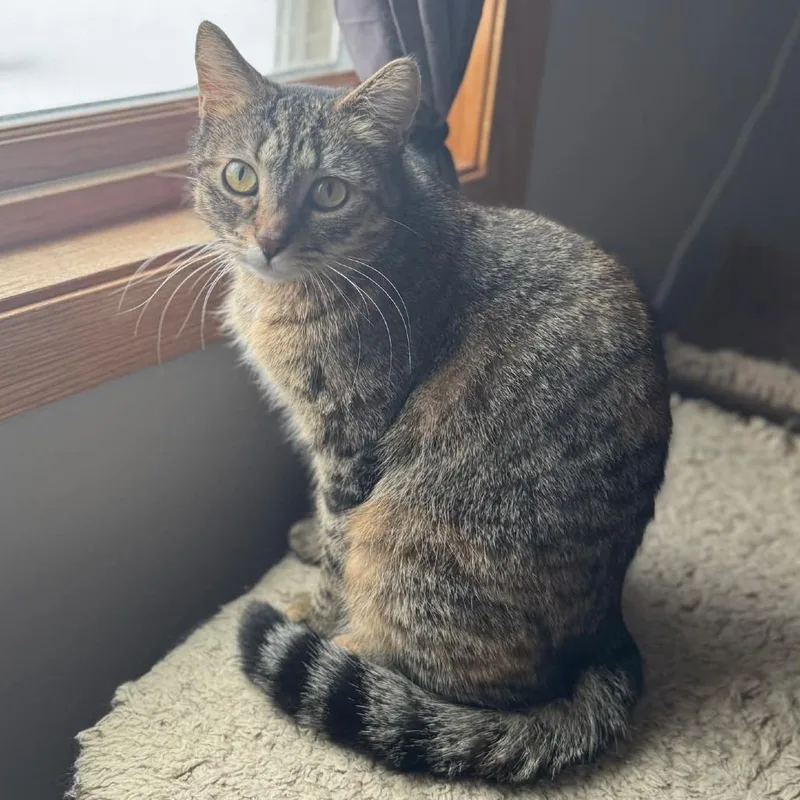 Stephanie thumbnail 4