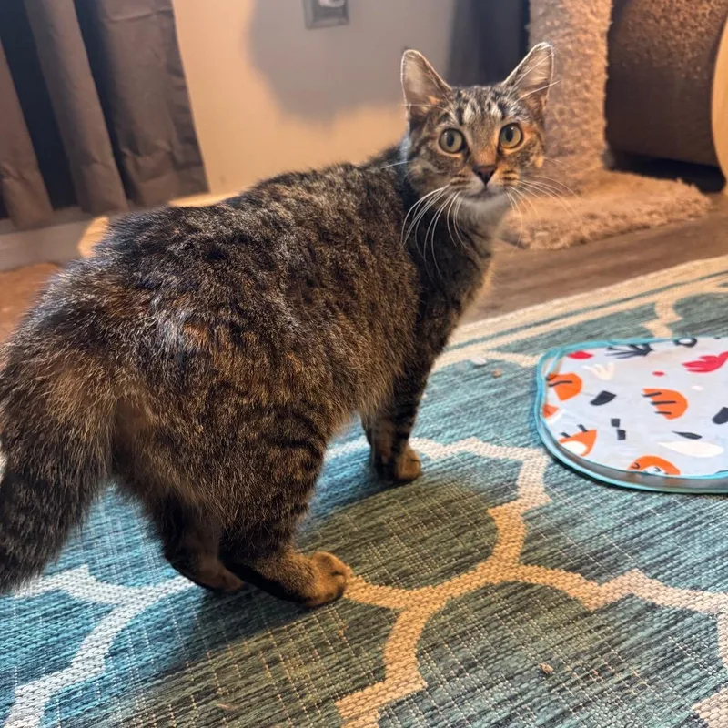 Stephanie thumbnail 5