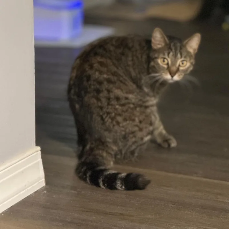 Stephanie thumbnail 6