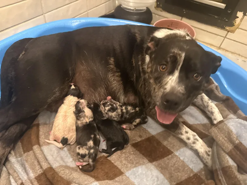 Momma Ruby Sue thumbnail 2