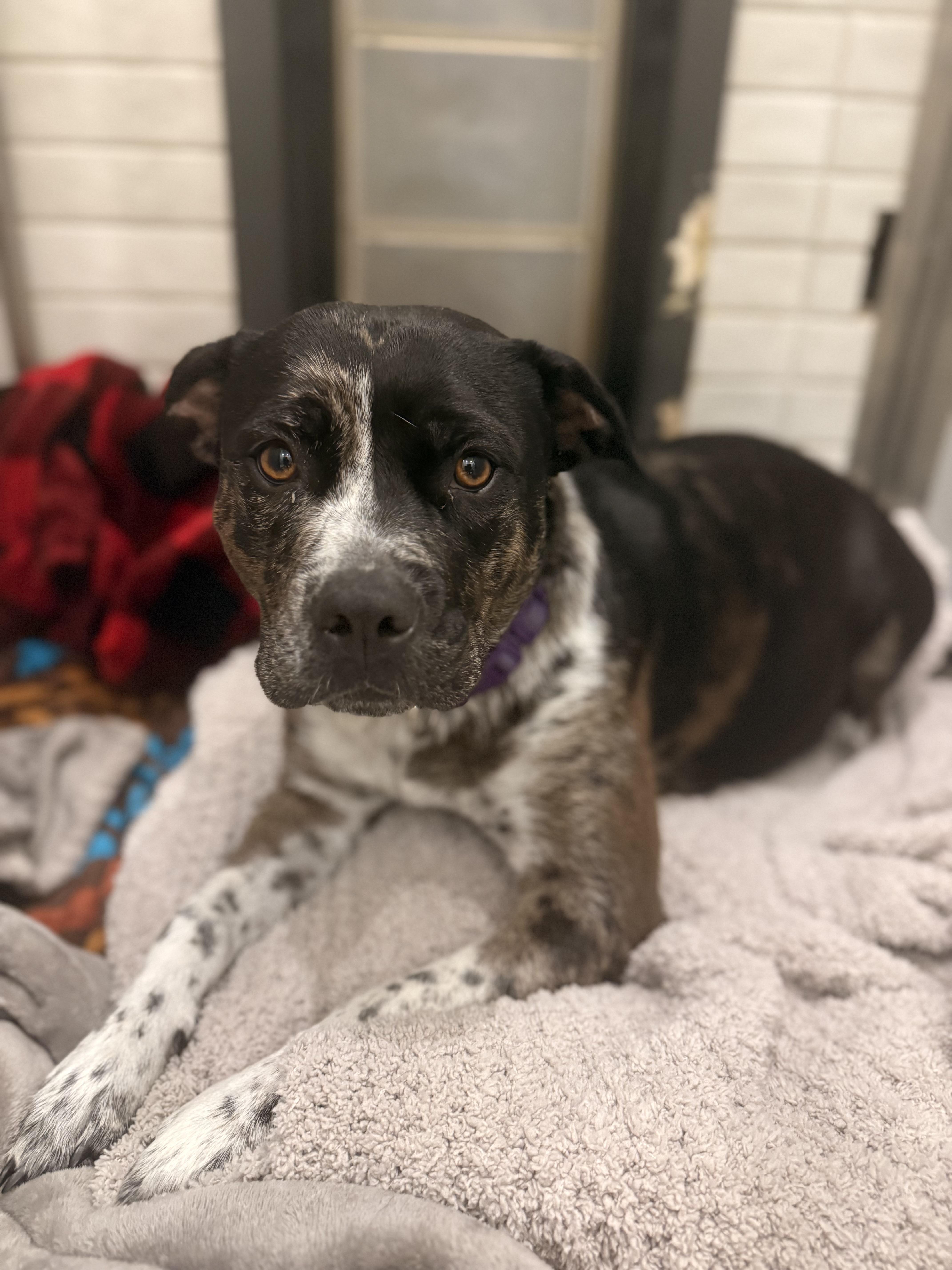 Momma Ruby Sue thumbnail 3