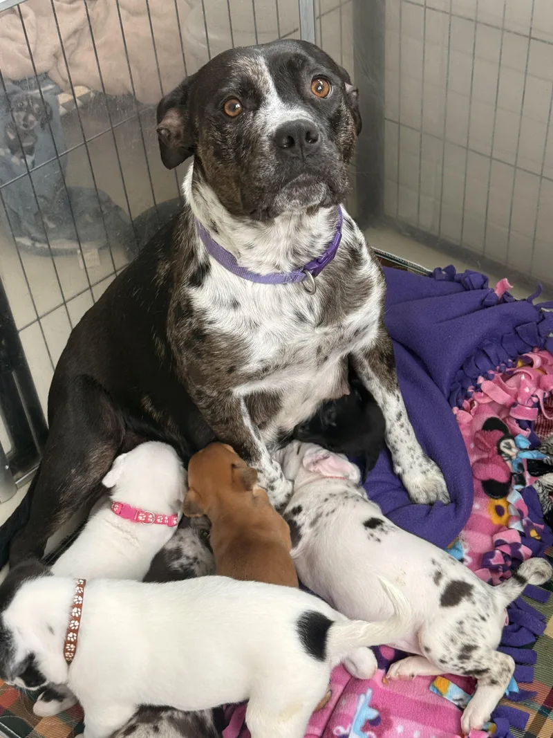 Momma Ruby Sue thumbnail 4