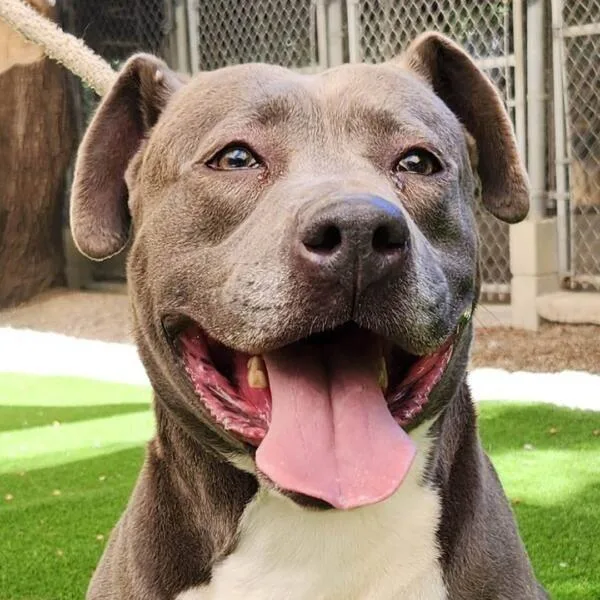 Maggy May thumbnail 2