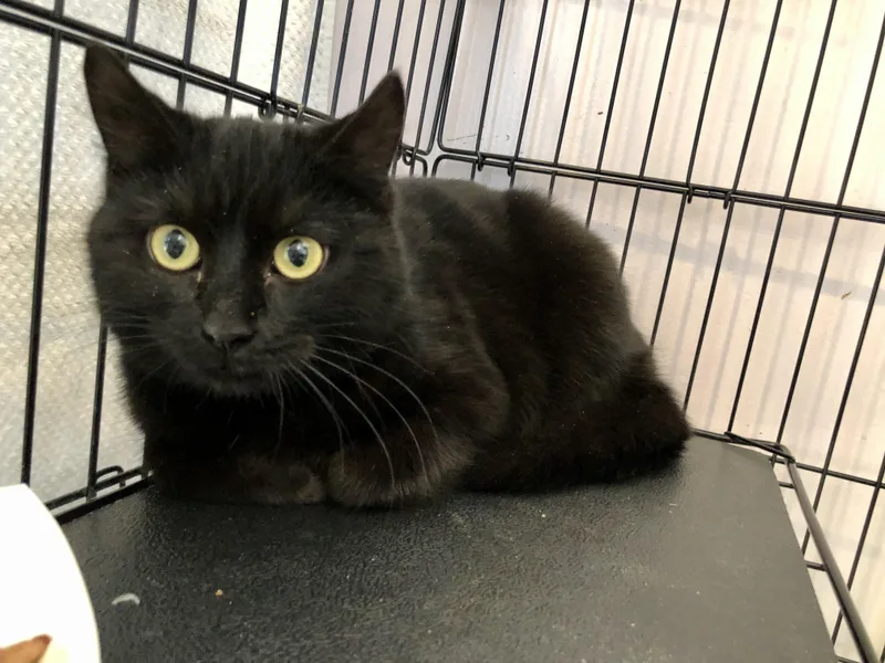 Cardigan thumbnail 2