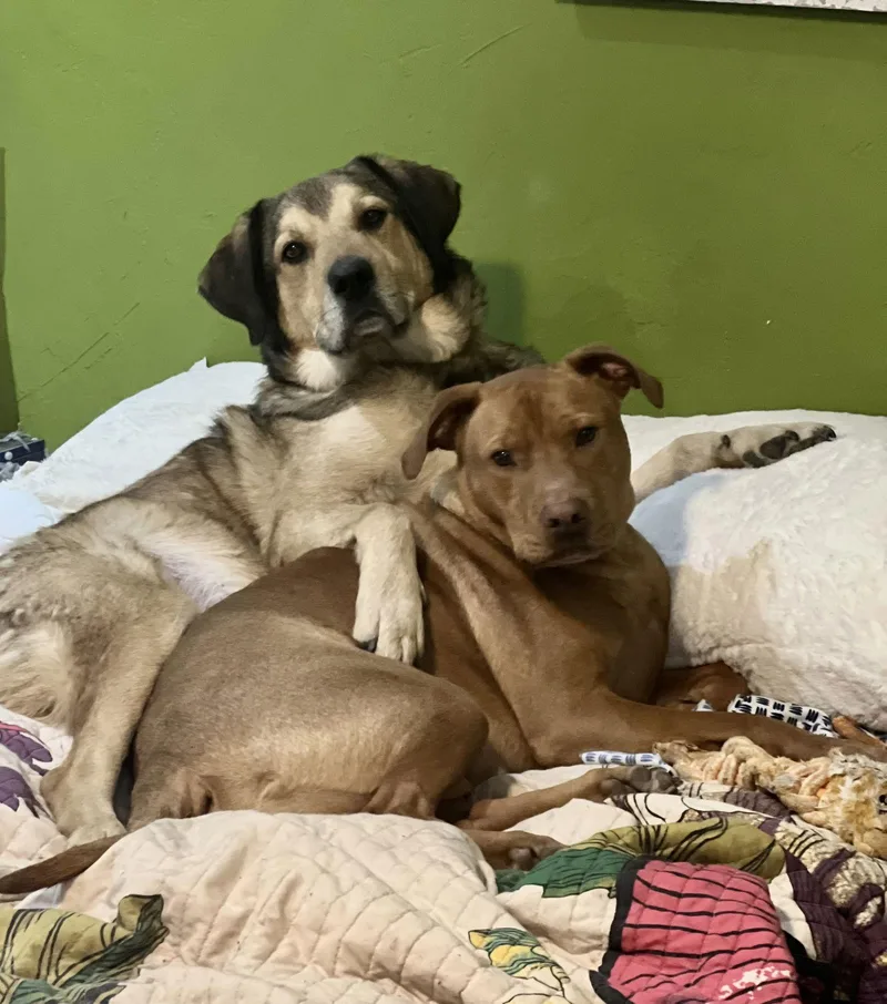 Tucker & Steph thumbnail 2