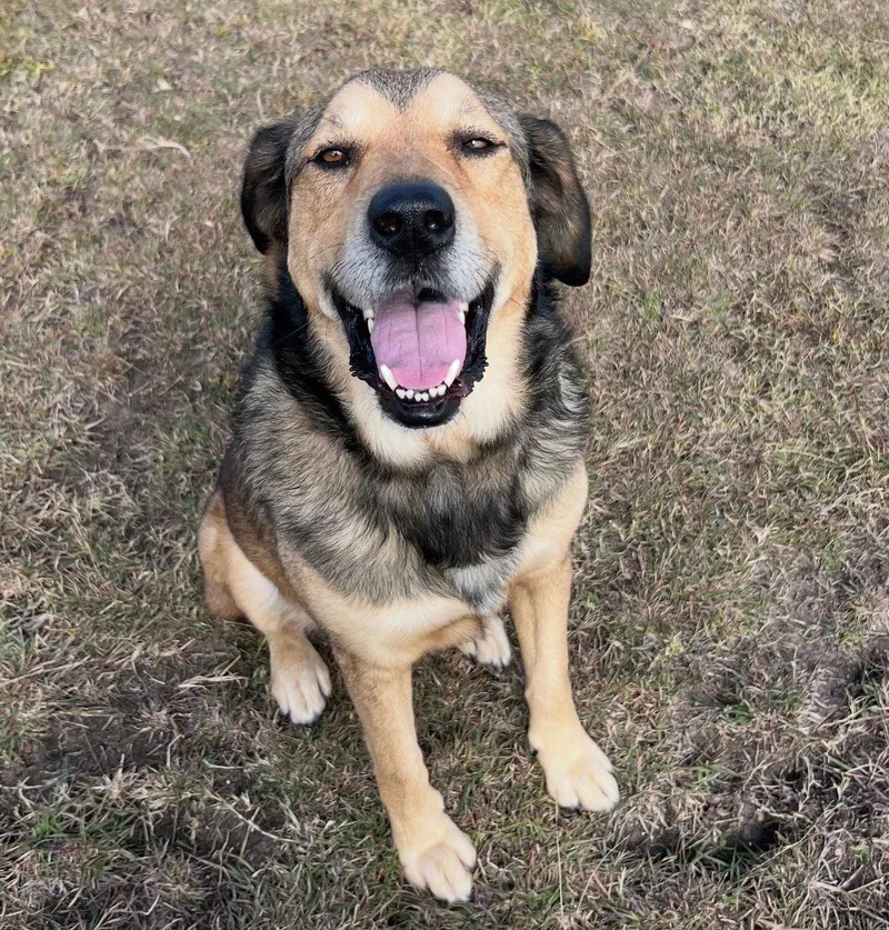 Tucker & Steph thumbnail 3