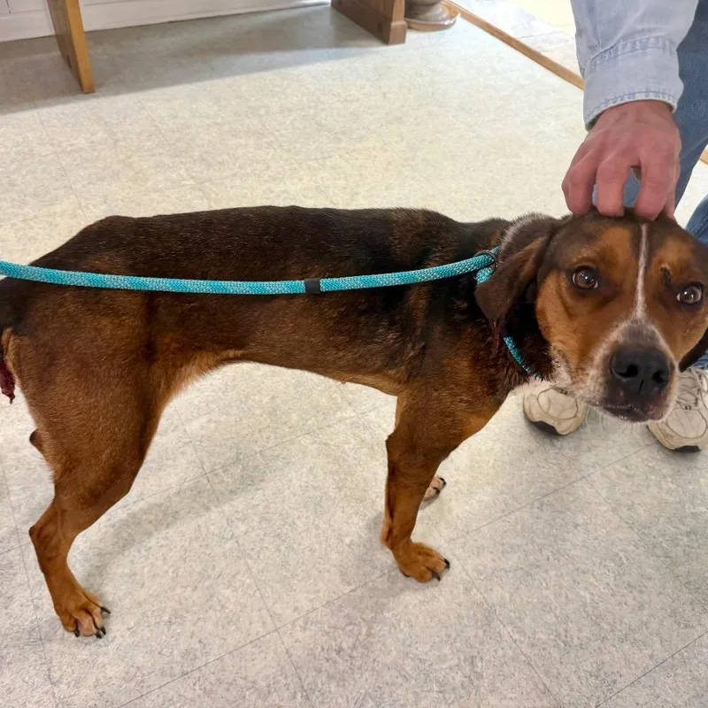 Sarabell thumbnail 5