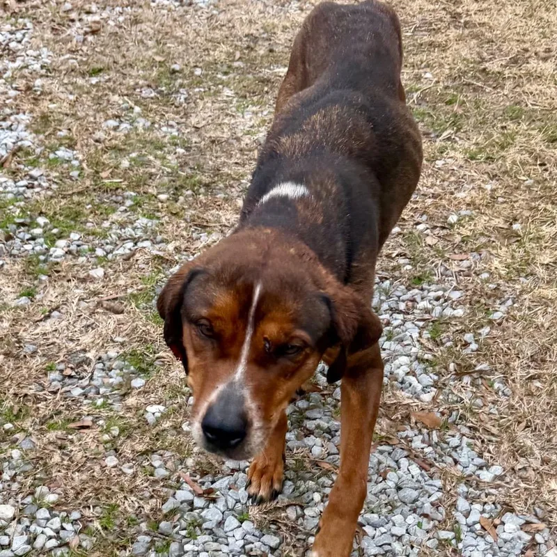 Sarabell thumbnail 6