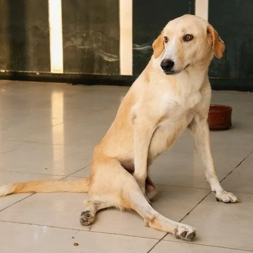 Mr. Happy Gary thumbnail 4