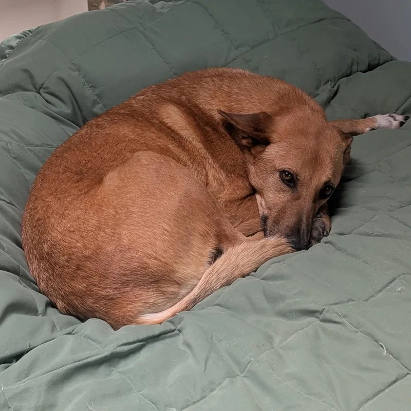 Ms. Marvelous Tarcin thumbnail 3