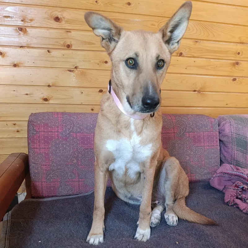 Ms. Marvelous Tarcin thumbnail 4