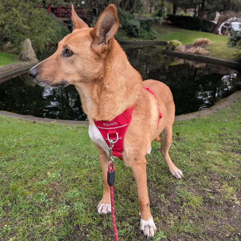 Ms. Marvelous Tarcin thumbnail 5