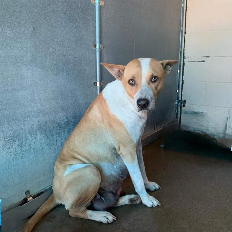 Franceen thumbnail 2