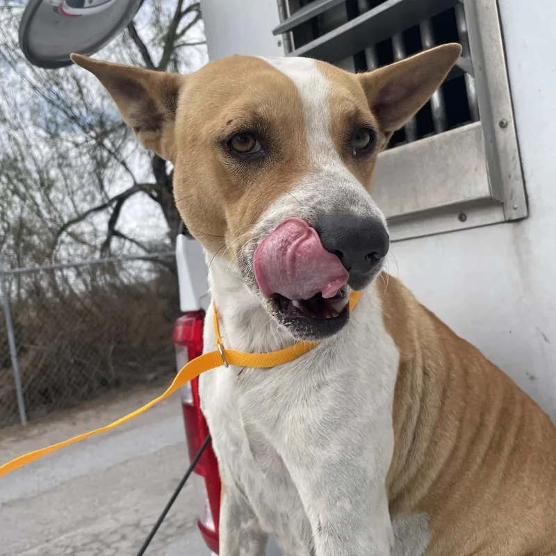 Franceen thumbnail 3