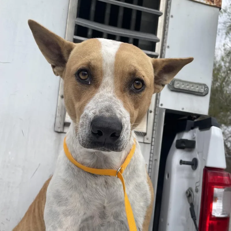 Franceen thumbnail 4