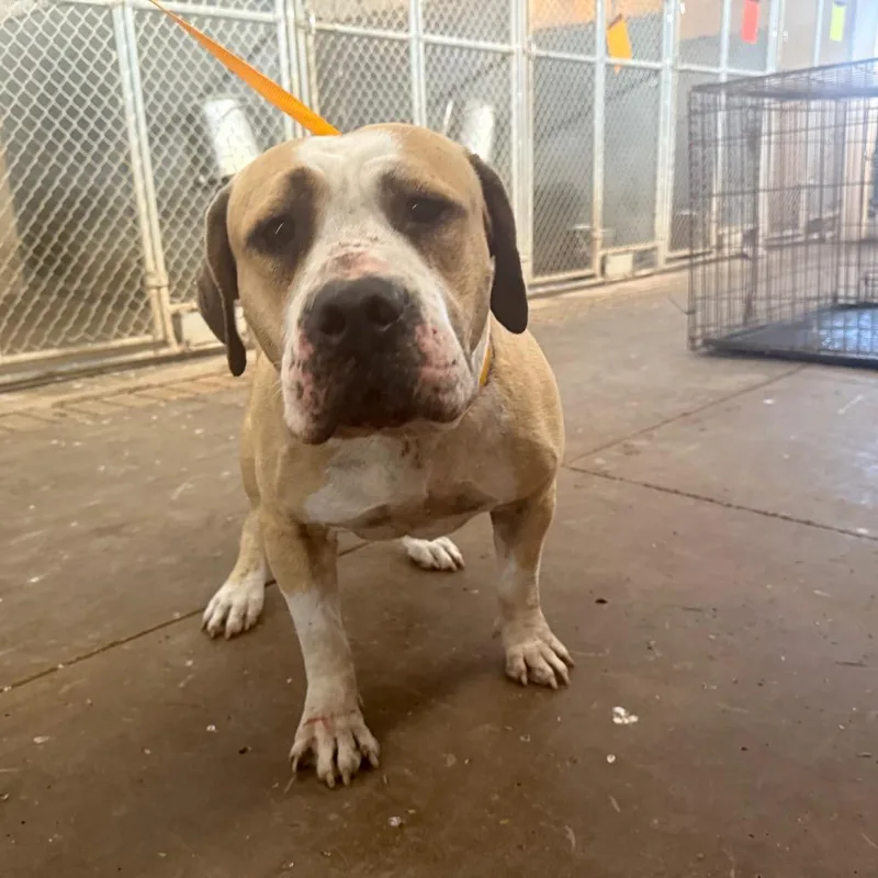 Hercules thumbnail 2