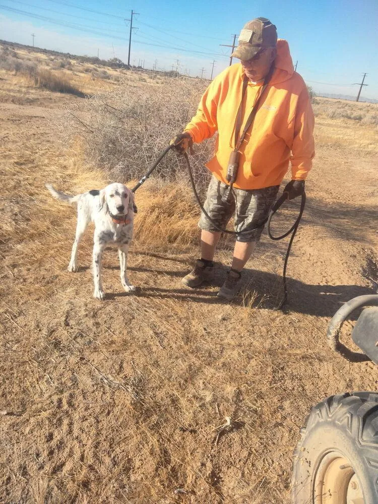 Patch Az thumbnail 6