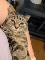 Mabel Pines thumbnail 2