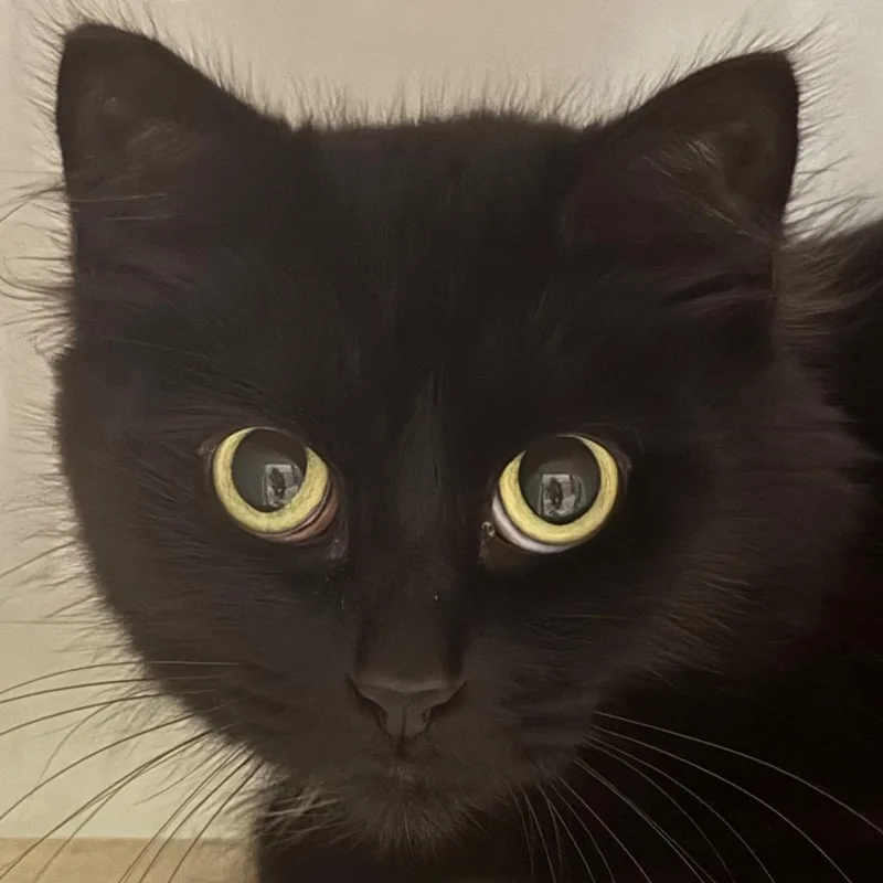 Svetlana thumbnail 2