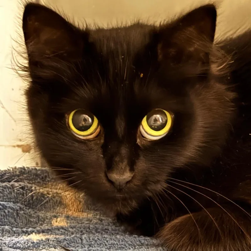 Svetlana thumbnail 3