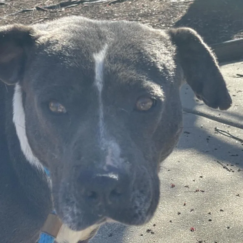 Miss Girl thumbnail 2