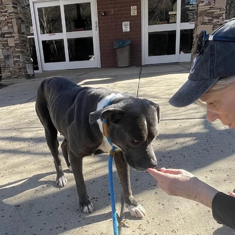 Miss Girl thumbnail 4