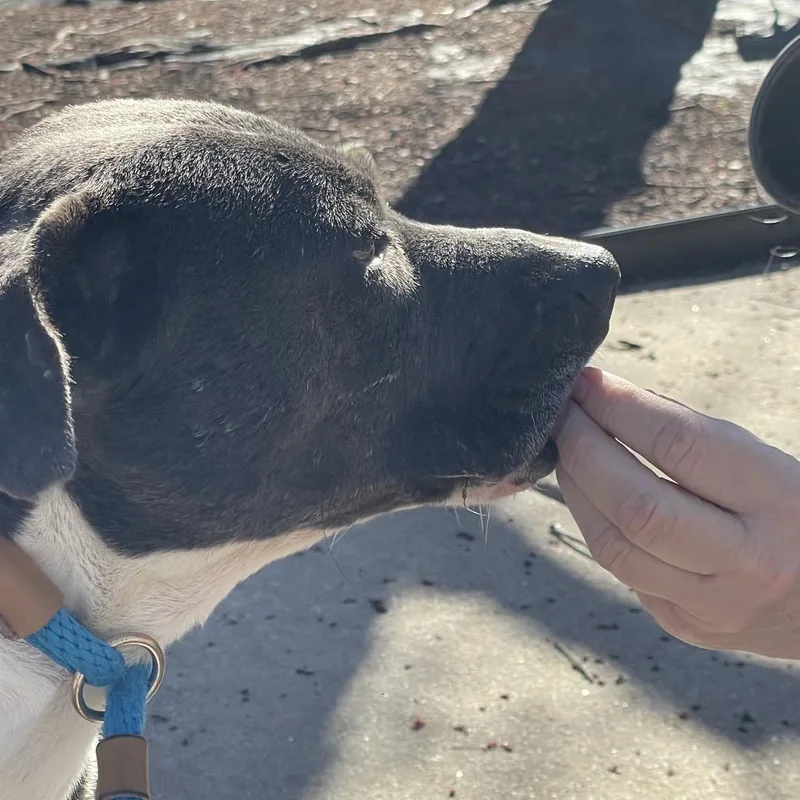 Miss Girl thumbnail 6