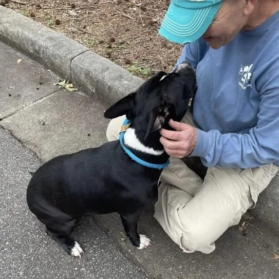 Moonwalk thumbnail 3