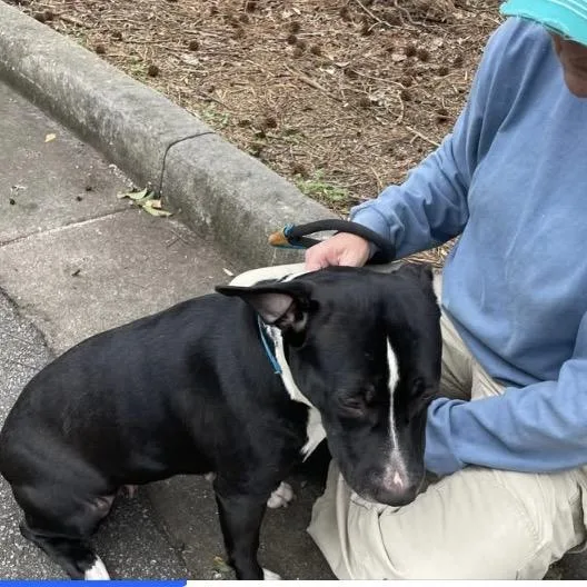 Moonwalk thumbnail 5