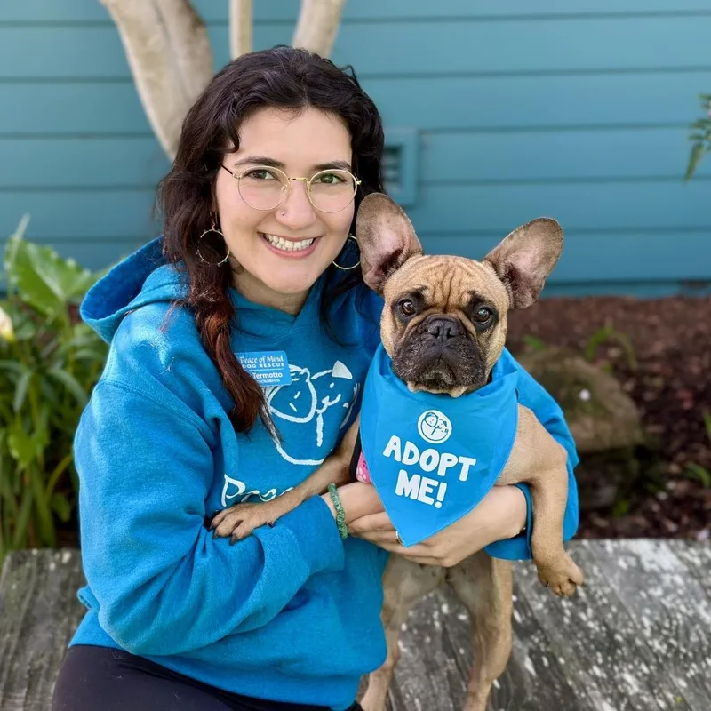 Shortbread thumbnail 5