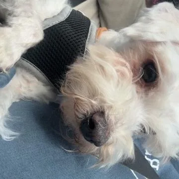 Tucker Dean thumbnail 2