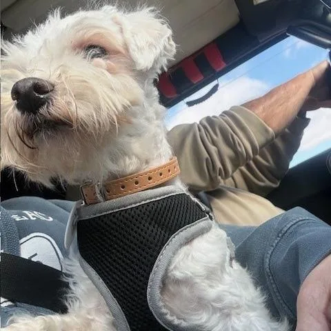 Tucker Dean thumbnail 3