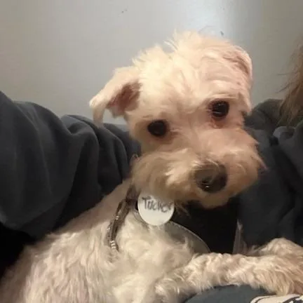 Tucker Dean thumbnail 4