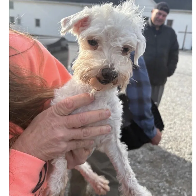 Tucker Dean thumbnail 5