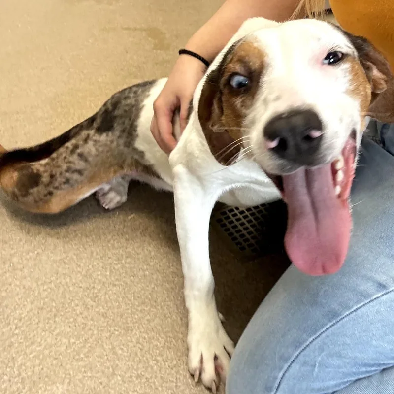 Valentina thumbnail 2