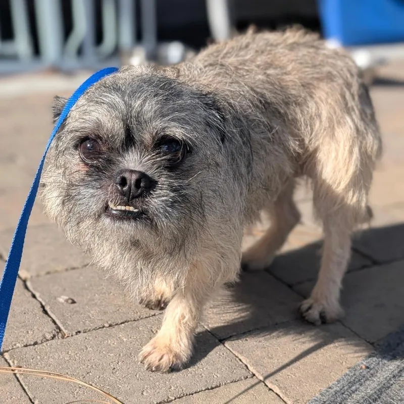 Patrick City Of Industry thumbnail 2