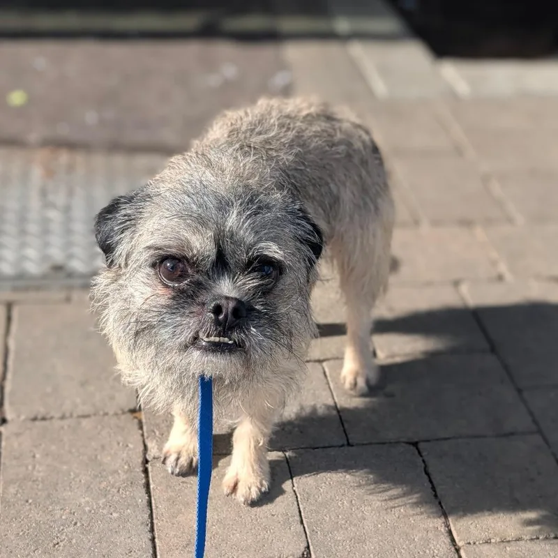 Patrick City Of Industry thumbnail 3