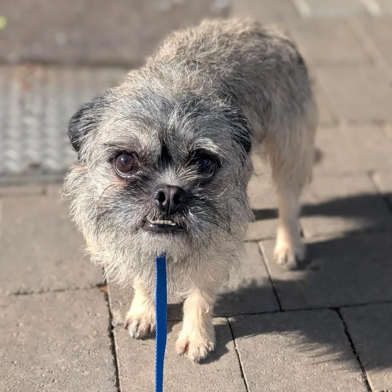 Patrick City Of Industry thumbnail 4