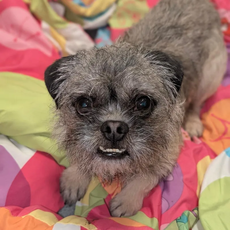 Patrick City Of Industry thumbnail 5