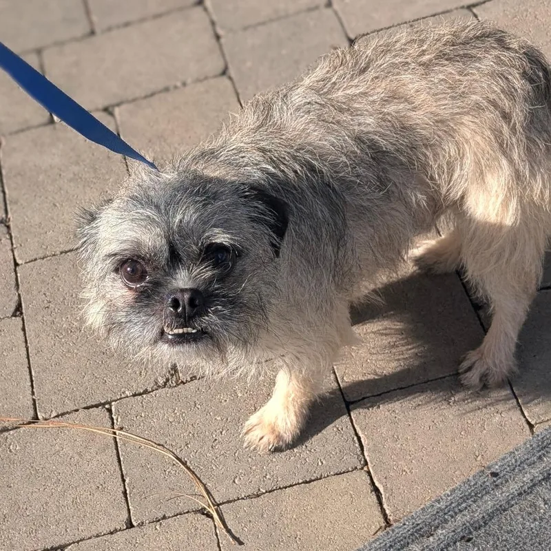 Patrick City Of Industry thumbnail 6