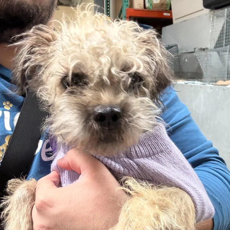 Penelope City Of Industry