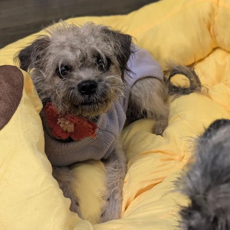 Penelope City Of Industry thumbnail 4