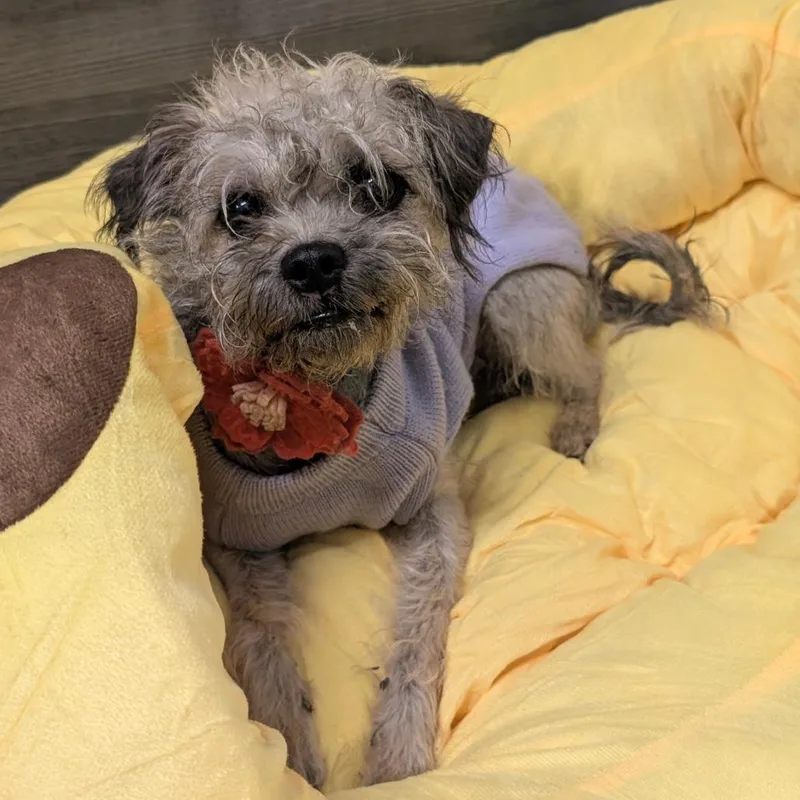 Penelope City Of Industry thumbnail 5