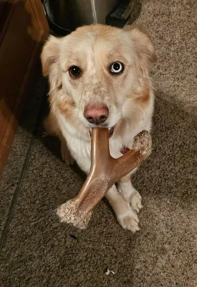 Freckles thumbnail 2