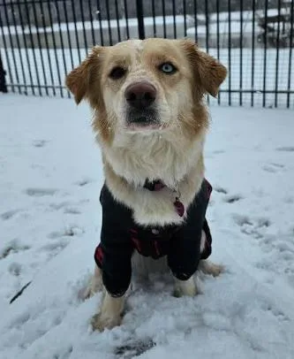 Freckles thumbnail 3